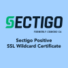 Positive SSL Wildcard Certificate