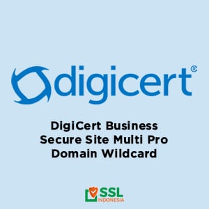 Secure_Site_Multi_Pro_Domain_Wildcard